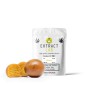 CBD Flower Extract Golden Extract Lab