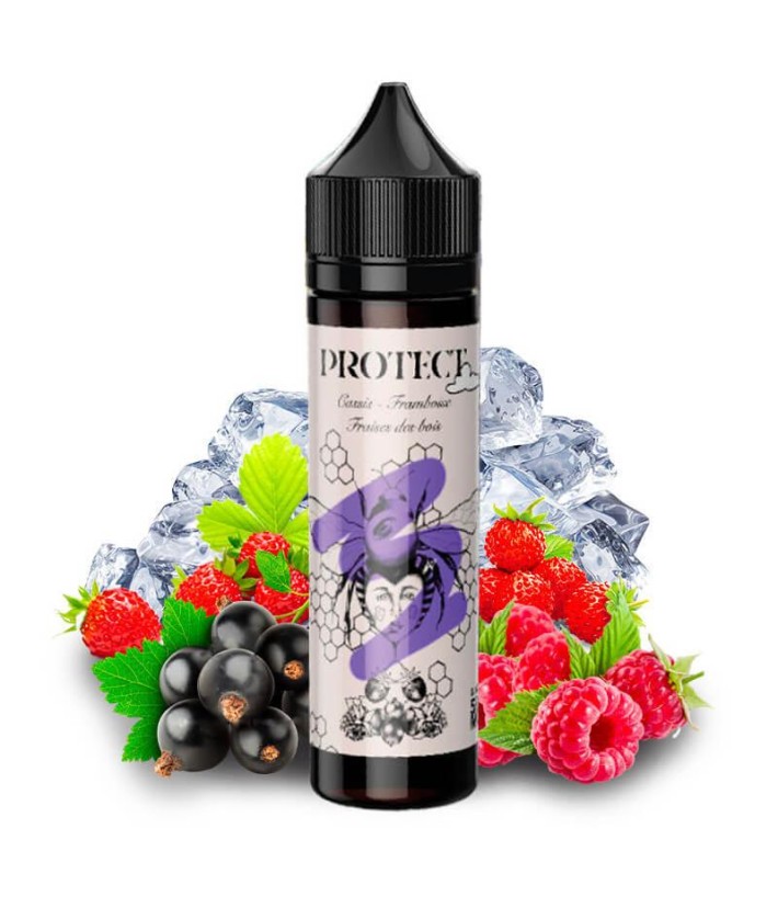 E-liquid Cassis Framboise Fraises Des Bois Protect