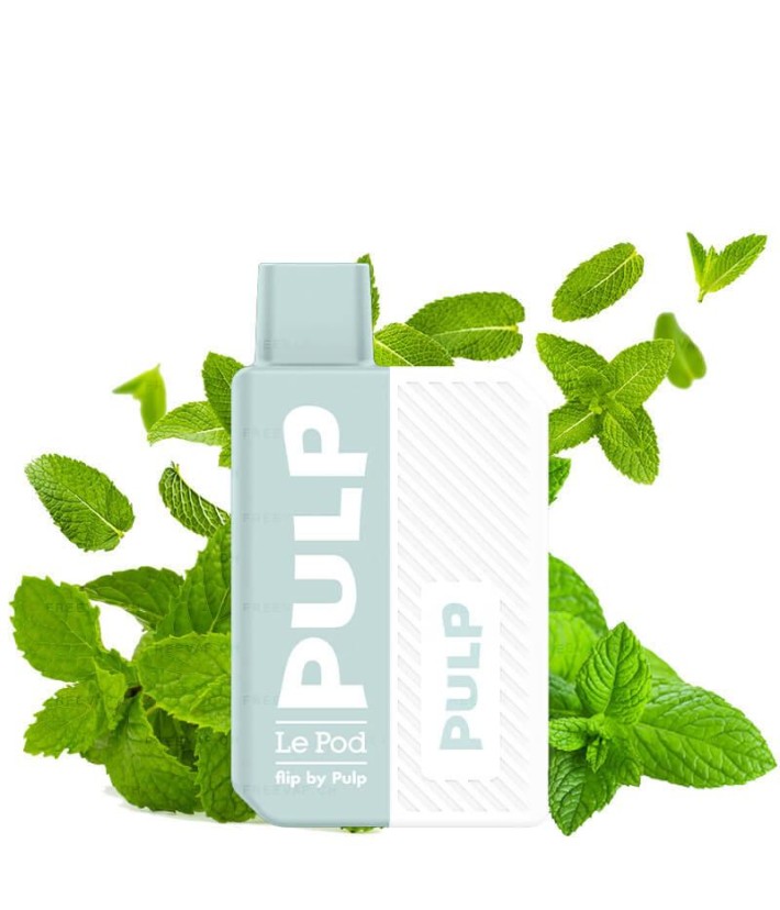 Starter Kit Spearmint Le Pod Flip By Pulp