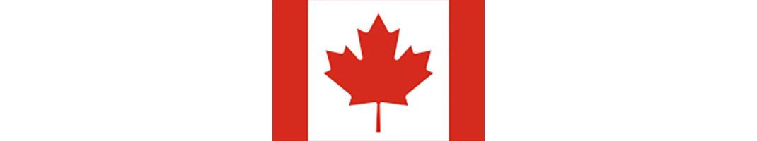 E-liquid aus Kanada in der Schweiz kaufen