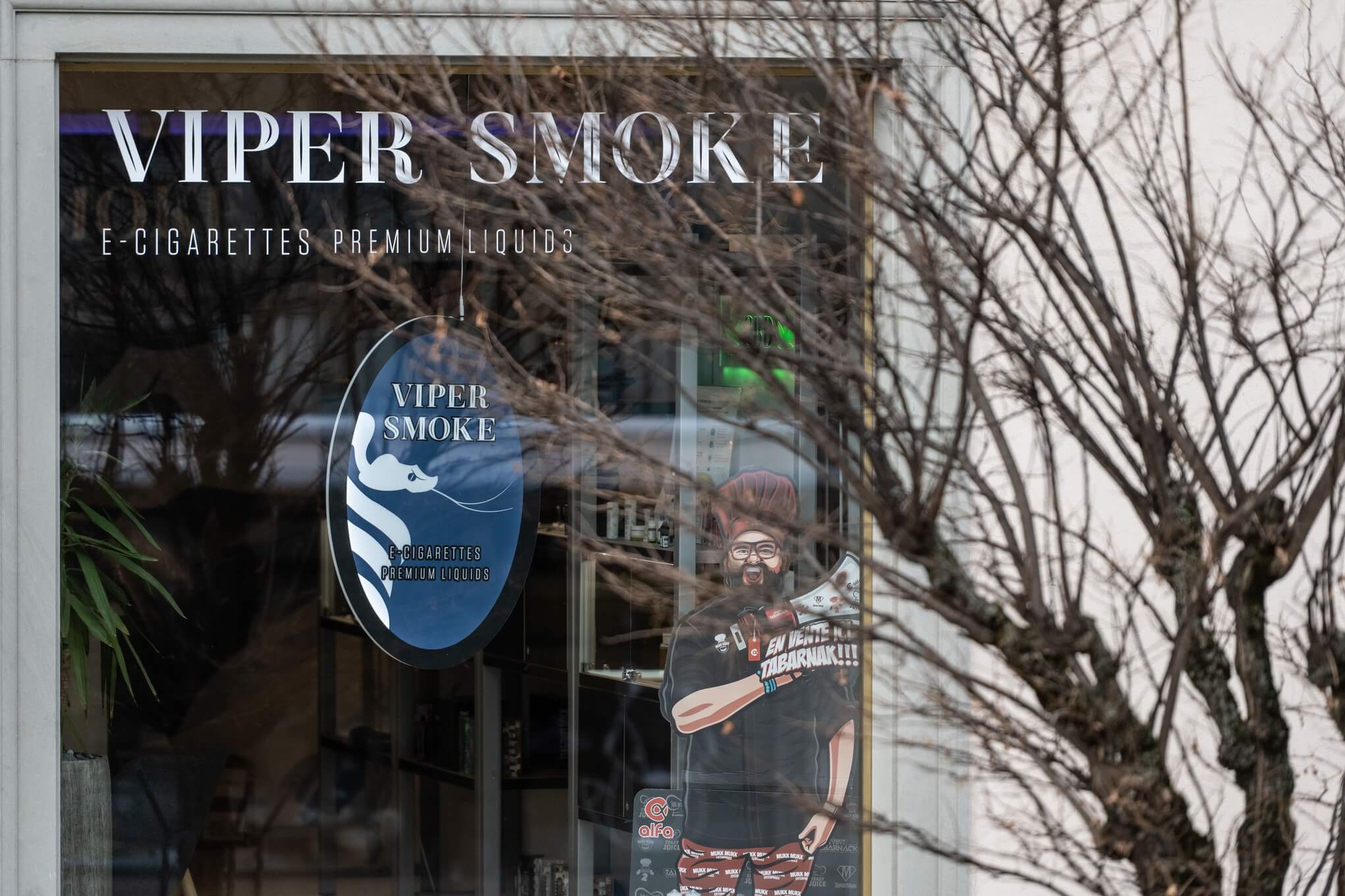 Boutique Viper Smoke à Bulle